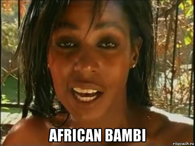  african bambi