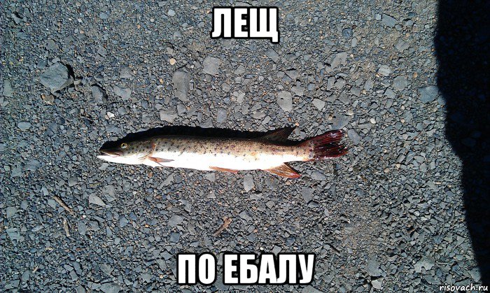 лещ по ебалу, Мем Андроид 10
