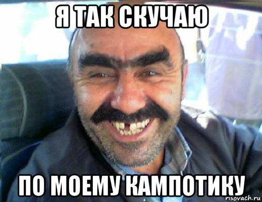 я так скучаю по моему кампотику