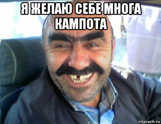 я желаю себе многа кампота 