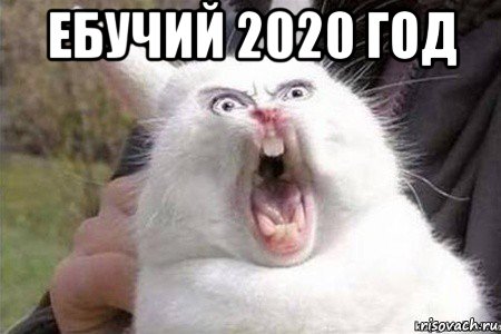 ебучий 2020 год 