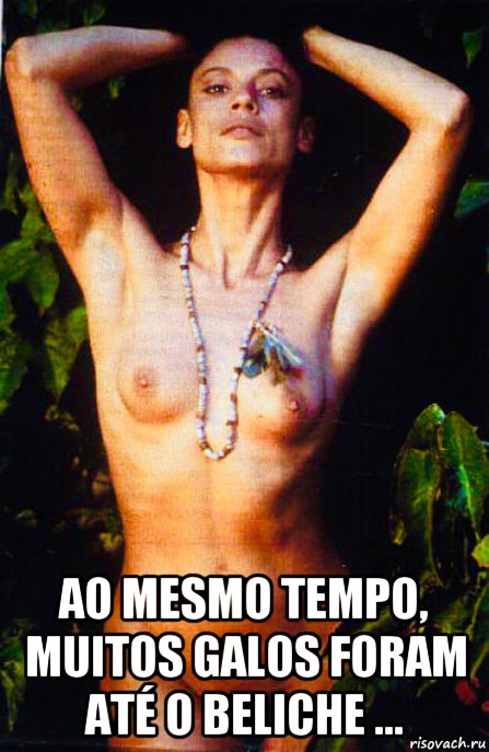  ao mesmo tempo, muitos galos foram até o beliche ...
