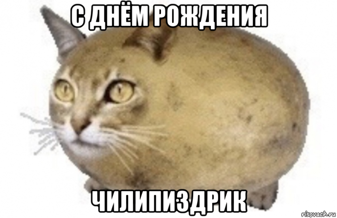 с днём рождения чилипиздрик, Мем Чилипиздрик