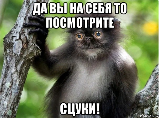 да вы на себя то посмотрите сцуки!