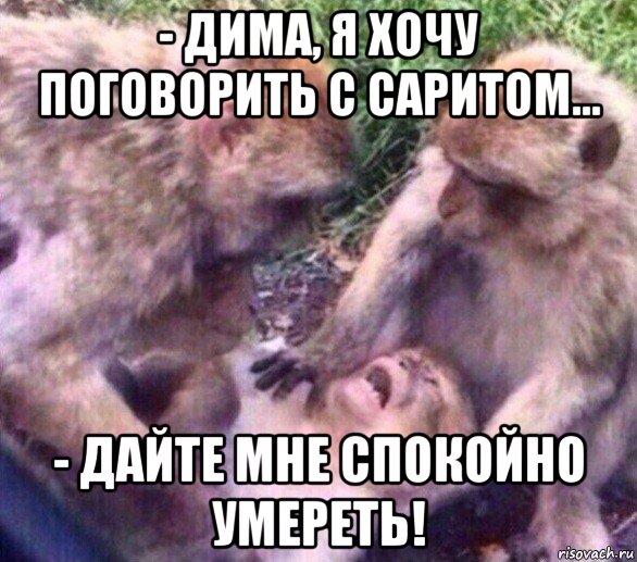 - дима, я хочу поговорить с саритом... - дайте мне спокойно умереть!, Мем Дайте мне спокойно умереть