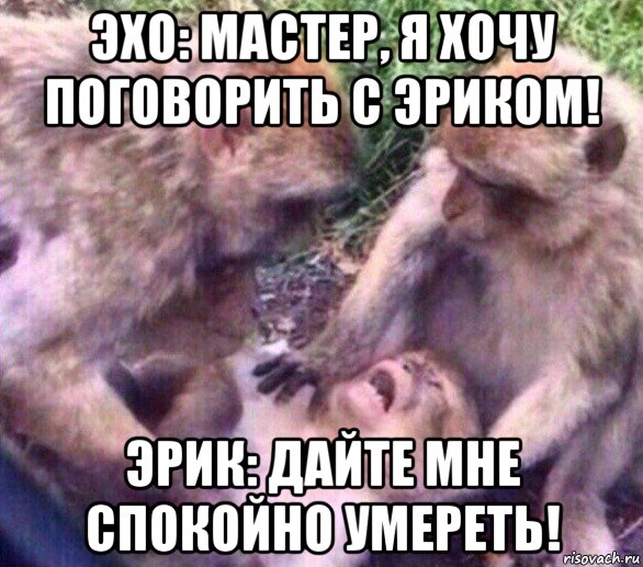 эхо: мастер, я хочу поговорить с эриком! эрик: дайте мне спокойно умереть!, Мем Дайте мне спокойно умереть