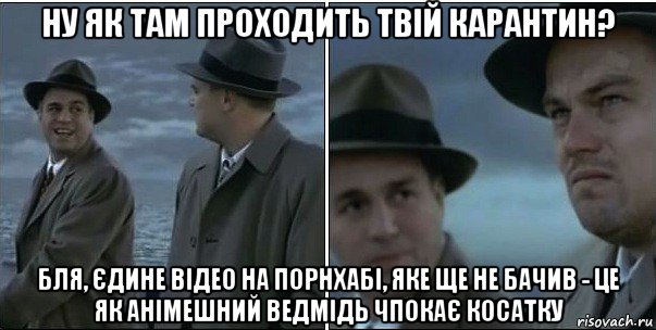 ну як там проходить твій карантин? бля, єдине відео на порнхабі, яке ще не бачив - це як анімешний ведмідь чпокає косатку, Мем ди каприо