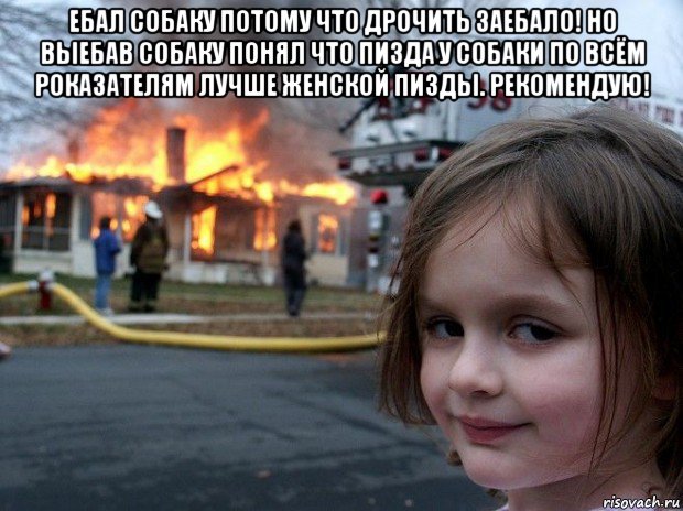 ебал собаку потому что дрочить заебало! но выебав собаку понял что пизда у собаки по всём роказателям лучше женской пизды. рекомендую! , Мем Disaster Girl