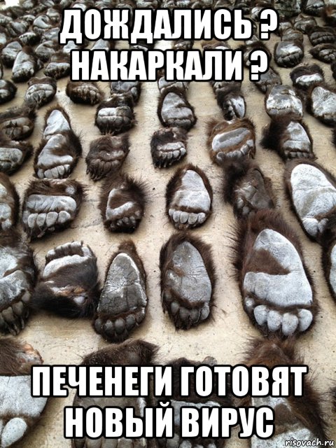 дождались ? накаркали ? печенеги готовят новый вирус, Мем Дождались