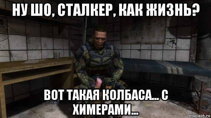 ну шо, сталкер, как жизнь? вот такая колбаса... с химерами..., Мем Дядька Яр