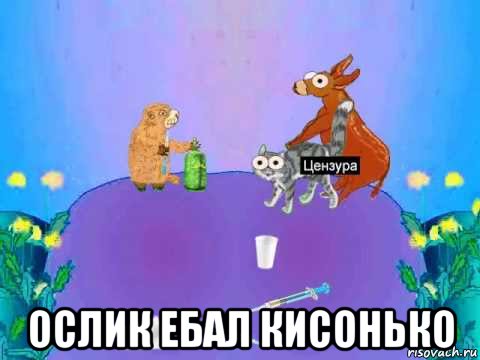  ослик ебал кисонько, Мем Ебал кисонько