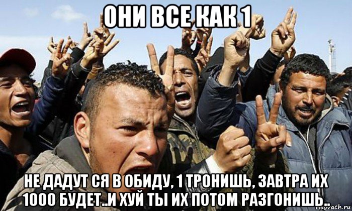 они все как 1 не дадут ся в обиду, 1 тронишь, завтра их 1000 будет..и хуй ты их потом разгонишь.., Мем Эмигранты