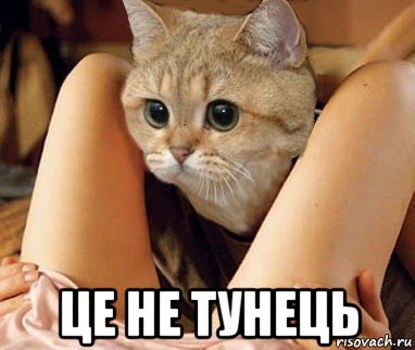  це не тунець