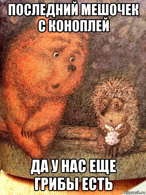 последний мешочек с коноплей да у нас еще грибы есть, Мем Ежик в тумане