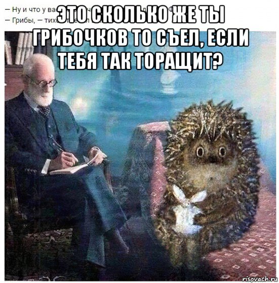 это сколько же ты грибочков то съел, если тебя так торащит? 