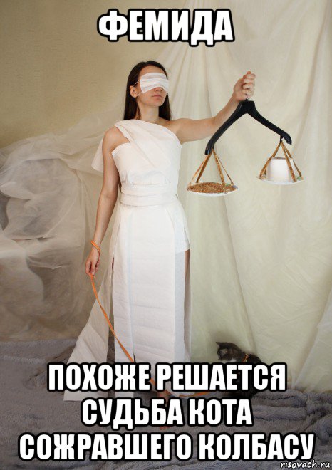 фемида похоже решается судьба кота сожравшего колбасу