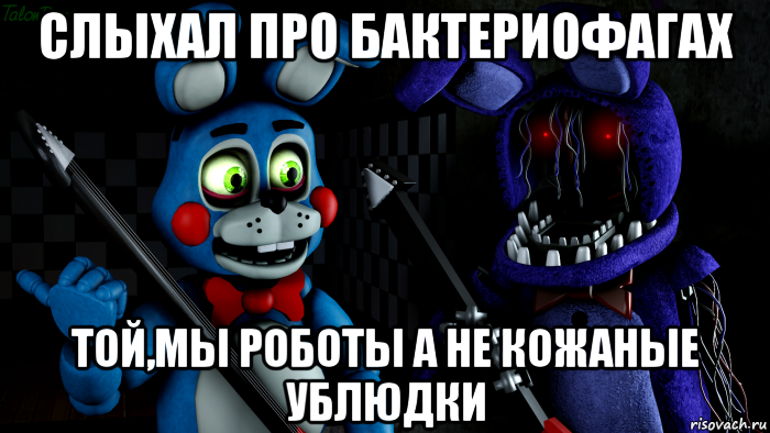 слыхал про бактериофагах той,мы роботы а не кожаные ублюдки, Мем FNAF ФНАФ той Бонни и олд Бонни