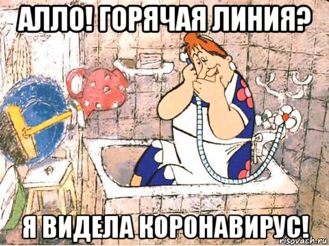 алло! горячая линия? я видела коронавирус!