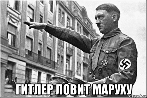  гитлер ловит маруху, Мем Гилтер