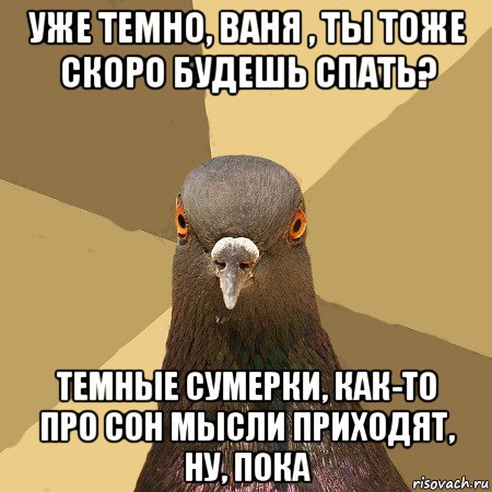 уже темно, ваня , ты тоже скоро будешь спать? темные сумерки, как-то про сон мысли приходят, ну, пока, Мем голубь