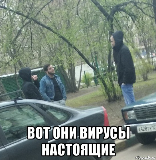  вот они вирусы настоящие, Мем Гопники