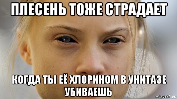 плесень тоже страдает когда ты её хлорином в унитазе убиваешь, Мем Greta