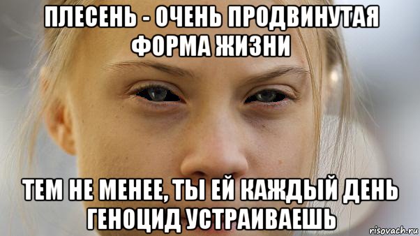 плесень - очень продвинутая форма жизни тем не менее, ты ей каждый день геноцид устраиваешь, Мем Greta