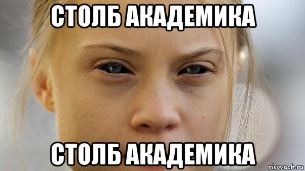 столб академика столб академика, Мем Greta