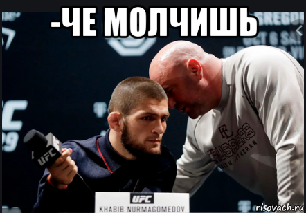 -че молчишь , Мем Хабиб Нурмагомедов