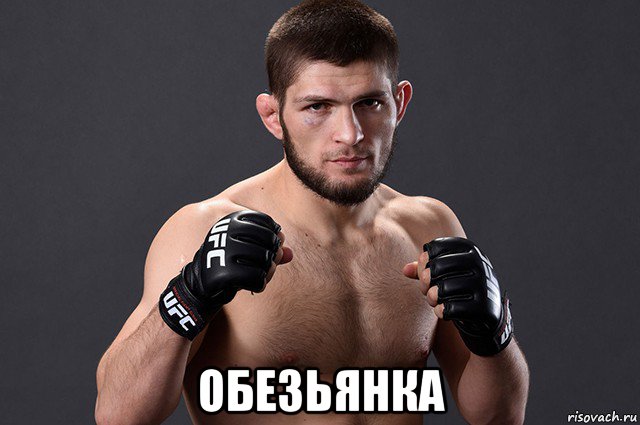  обезьянка, Мем Хабиб
