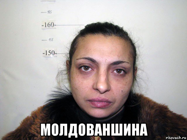  молдованшина, Мем Инфоцыгане