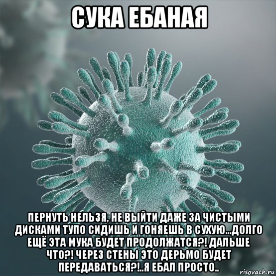 сука ебаная пернуть нельзя, не выйти даже за чистыми дисками тупо сидишь и гоняешь в сухую...долго ещё эта мука будет продолжатся?! дальше что?! через стены это дерьмо будет передаваться?!..я ебал просто.., Мем Коронавирус - Заебал