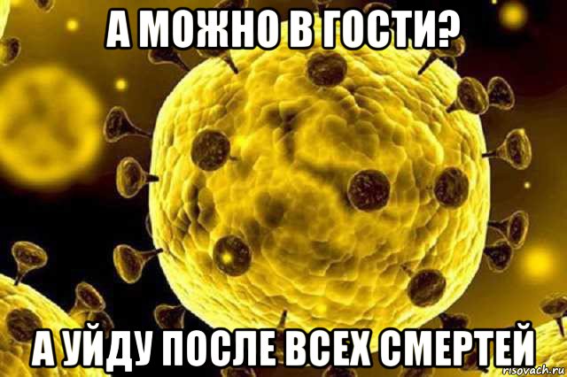 а можно в гости? а уйду после всех смертей, Мем Коронавирус