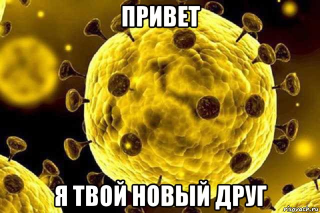 привет я твой новый друг, Мем Коронавирус