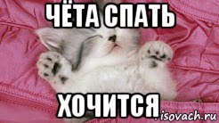 чёта спать хочится, Мем Кот чемта пахож на тебя но не на меня