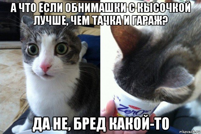 а что если обнимашки с кысочкой лучше, чем тачка и гараж? да не, бред какой-то