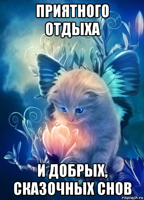 приятного отдыха и добрых, сказочных снов, Мем Кот