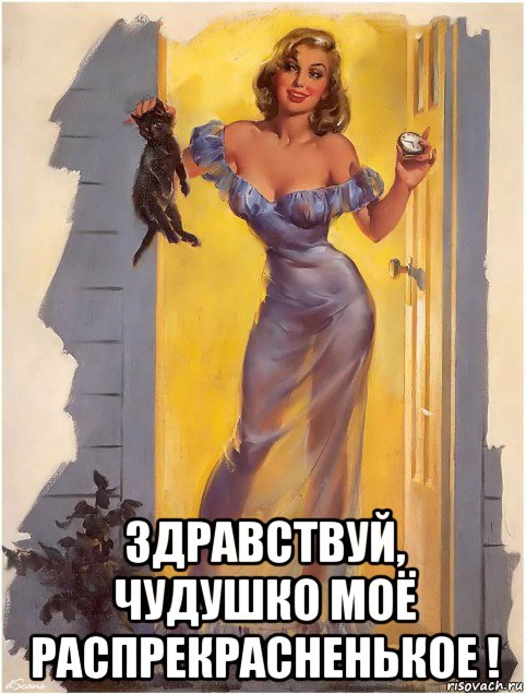  здравствуй, чудушко моё распрекрасненькое !, Мем КОТЁНОК