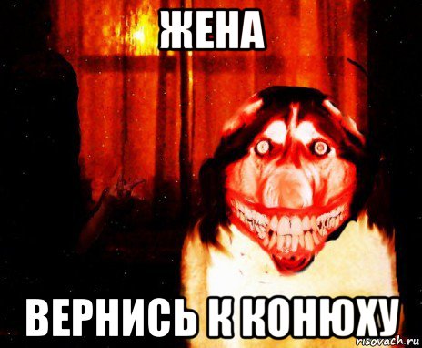 жена вернись к конюху, Мем Крипи Хаски