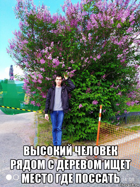 высокий человек рядом с деревом ищет место где поссать, Мем Крокодил гена