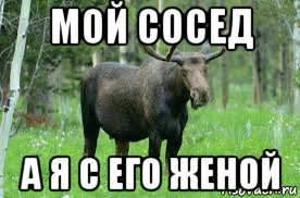 мой сосед а я с его женой, Мем Лось