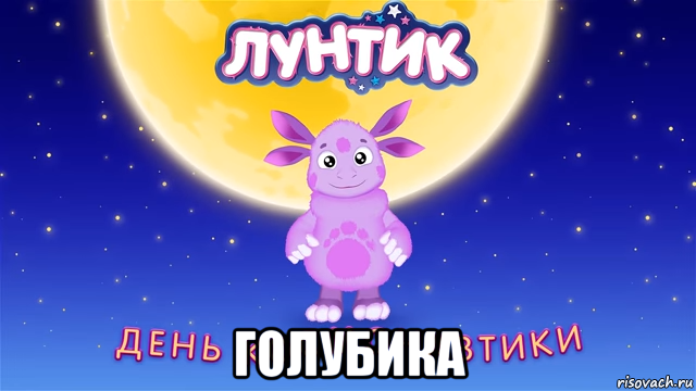  голубика