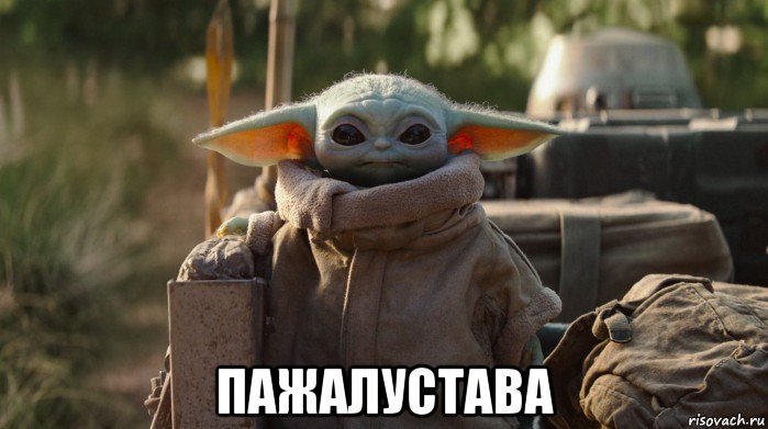  пажалустава, Мем Мандалорец