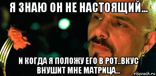 я знаю он не настоящий... и когда я положу его в рот..вкус внушит мне матрица..., Мем Матрица - Сайфер