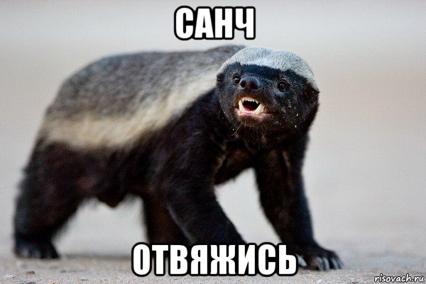 санч отвяжись