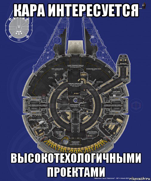 кара интересуется высокотехологичными проектами