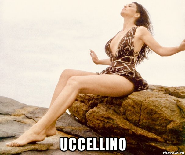  uccellino