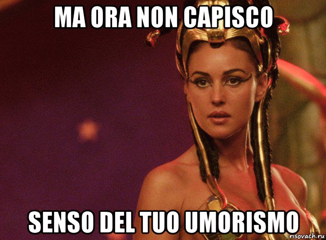 ma ora non capisco senso del tuo umorismo