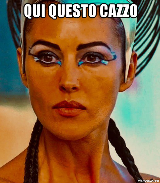 qui questo cazzo , Мем Monica