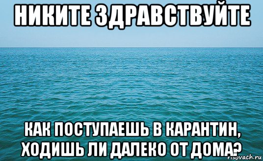 никите здравствуйте как поступаешь в карантин, ходишь ли далеко от дома?, Мем Море